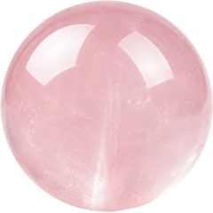 Star Rose